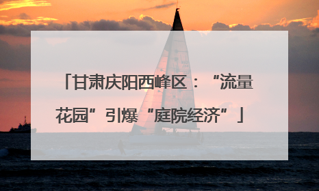 甘肃庆阳西峰区：“流量花园”引爆“庭院经济”